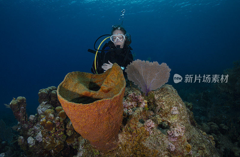 Caribbean coral reef and diver